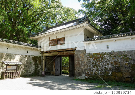 【宮崎】飫肥城 133959734