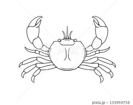正面向きのカニの線画イラスト 133959758