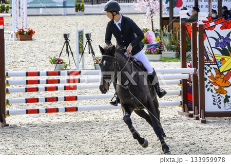 東京都世田谷区　馬事公苑　ジャパン ブリーディング　障害馬術　ホースショー 133959978