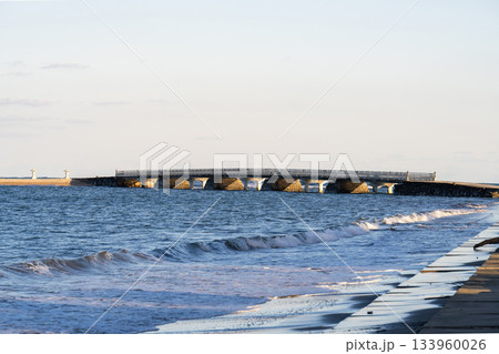 青島神社にかかる弥生橋 青島神社にかかる弥生橋 133960026