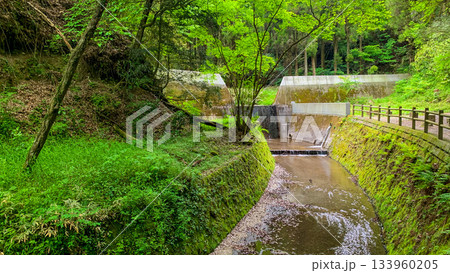 熊本県阿蘇市の池山水源 133960205