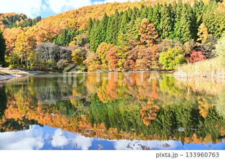 八幡林池の水面に映り込む紅葉 八幡林池の水面に映り込む紅葉 133960763