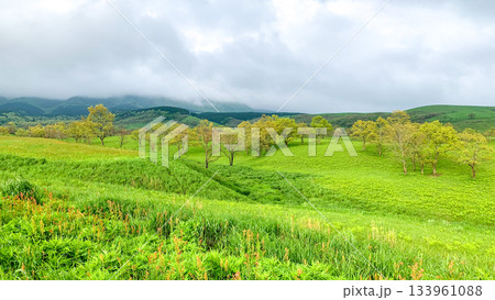 阿蘇の絶景ドライブコース 阿蘇の絶景ドライブコース 133961088