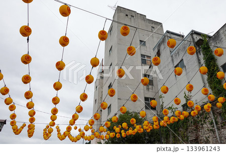 【香川】金刀比羅宮 133961243
