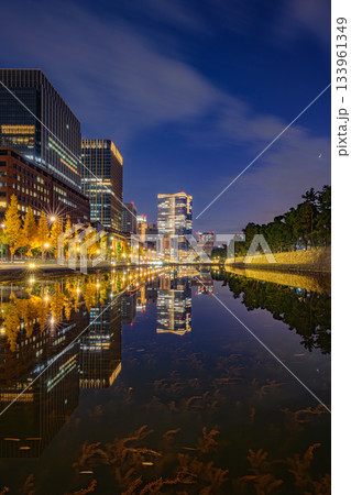 銀杏並木（馬場先濠） 133961349