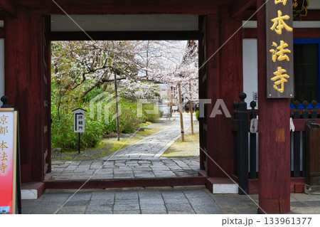 京都 本法寺(京都府京都市上京区) 京都 本法寺(京都府京都市上京区) 133961377