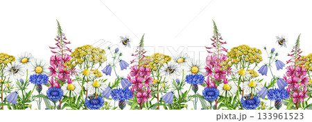 Meadow wildflowers seamless border vintage style watercolor illustration. Hand drawn chamomile, bluebell, cornflower, fireweed blooming summer meadow flowers elegant decoration on white background Meadow wildflowers seamless border vintage style watercolor illustration. Hand drawn chamomile, bluebell, cornflower, fireweed blooming summer meadow flowers elegant decoration on white background 133961523