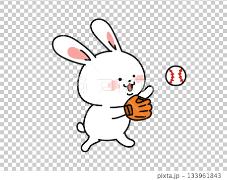 野球の練習をするかわいいウサギさん 133961843