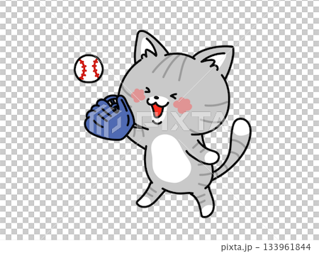 Cute cat practicing baseball Cute cat practicing baseball 133961844