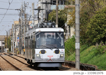 東急世田谷線の電車の走る風景 133961976