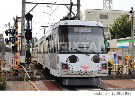 東急世田谷線の電車の走る風景 133961983