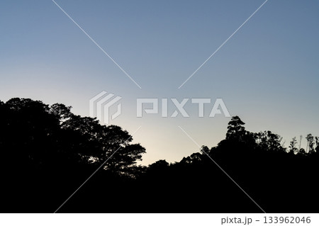 夕暮れの空と木々のシルエット 夕暮れの空と木々のシルエット 133962046
