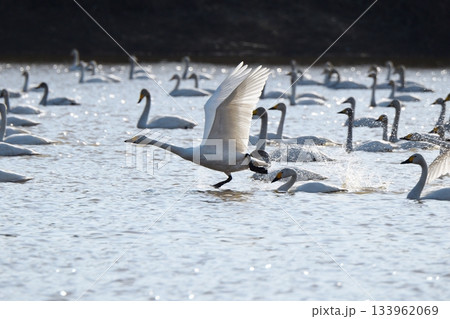 お先に！ 133962069