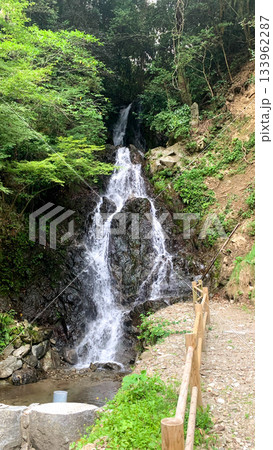 四季折々の美が楽しめる調音の滝 四季折々の美が楽しめる調音の滝 133962287