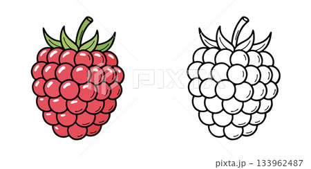 シンプルなラズベリーのアイコンイラスト シンプルなラズベリーのアイコンイラスト 133962487
