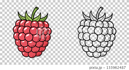 シンプルなラズベリーのアイコンイラスト シンプルなラズベリーのアイコンイラスト 133962487