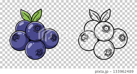 簡單的藍莓圖示插圖 133962489