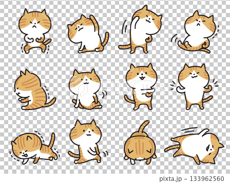 ストレッチする猫のイラスト 133962560