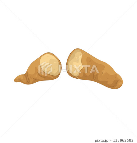 Illustration of sweet potato Illustration of sweet potato 133962592