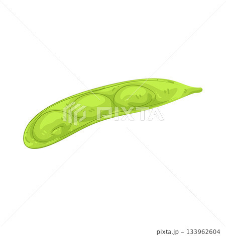 Illustration of green peas 133962604