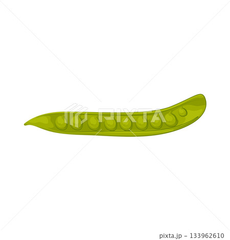 Illustration of green peas Illustration of green peas 133962610
