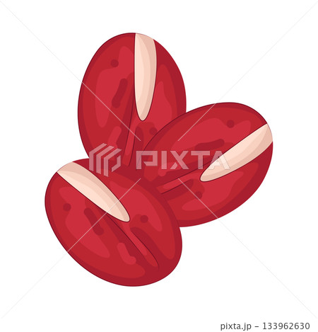 Illustration of bean Illustration of bean 133962630