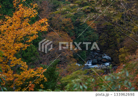 道志川と紅葉の森 道志川と紅葉の森 133962698