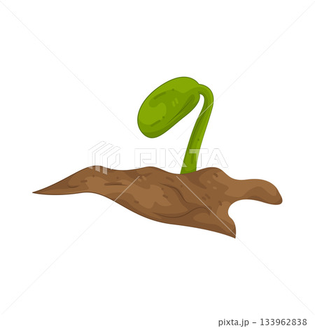 Illustration of seedling  133962838