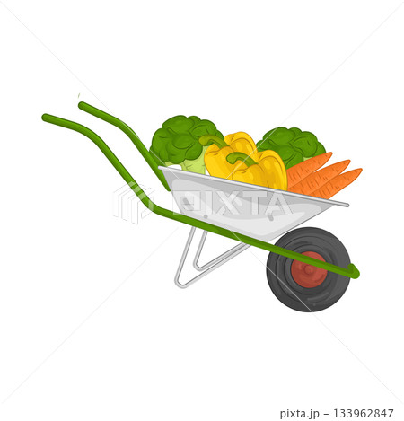 Illustration of vegetable in wheelbarrow Illustration of vegetable in wheelbarrow 133962847