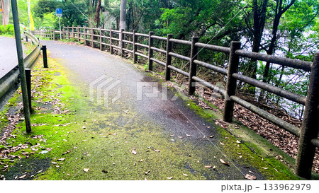 北九州市の河内貯水池 133962979