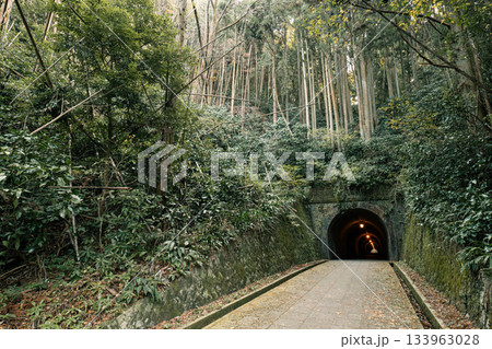 苔むした石壁に囲まれた宇津ノ谷トンネルと歴史的レンガアーチの情緒ある風景 苔むした石壁に囲まれた宇津ノ谷トンネルと歴史的レンガアーチの情緒ある風景 133963028