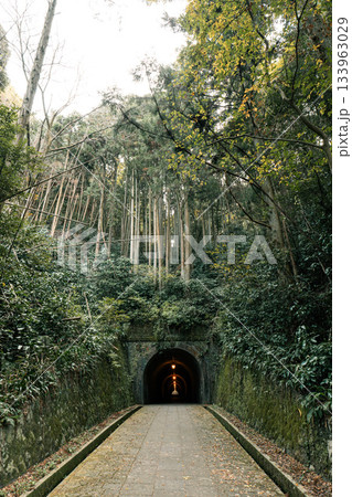 苔むした石壁に囲まれた宇津ノ谷トンネルと歴史的レンガアーチの情緒ある風景 苔むした石壁に囲まれた宇津ノ谷トンネルと歴史的レンガアーチの情緒ある風景 133963029