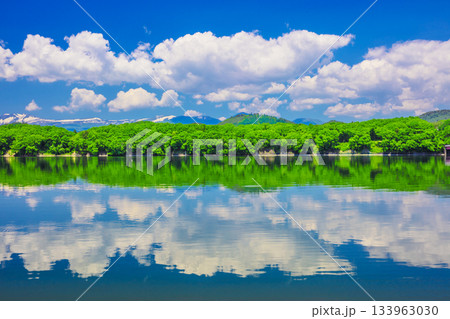 水面に映る新緑 水面に映る新緑 133963030