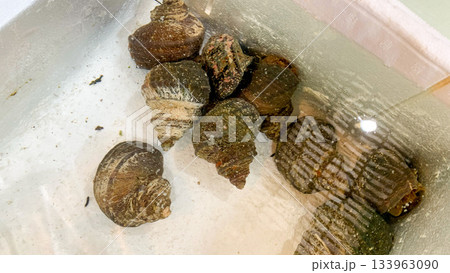 北九州市の旦過市場で売られている食べ物 北九州市の旦過市場で売られている食べ物 133963090