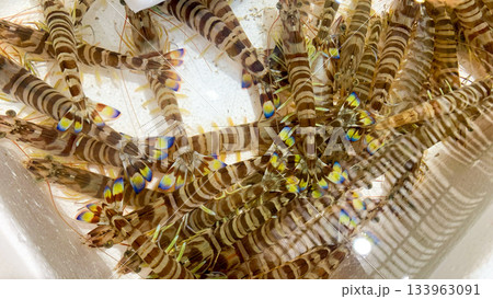 北九州市の旦過市場で売られている食べ物 133963091