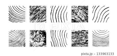 Wood cross section Wood cross section 133963133