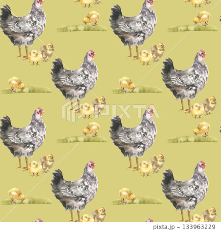 Farm birds watercolor seamless pattern on green with black hen and yellow chicks on grass lawn illustration. Hand drawn farmyard animals and rustic life scene for packing,textile,fabric design Farm birds watercolor seamless pattern on green with black hen and yellow chicks on grass lawn illustration. Hand drawn farmyard animals and rustic life scene for packing,textile,fabric design 133963229