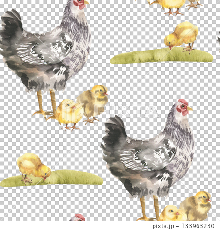 Farmyard birds watercolor seamless pattern with black hen and yellow chicks on green grass lawn illustration. Rustic life,farm animals background for fabric,textile, organic product packing design 133963230