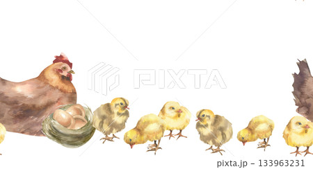 Farm birds family seamless border with brown hen, yellow chicks and nest with eggs watercolor illustration. Hand drawn rustic animals banner,farmyard clipart for wallpaper, packing design 133963231