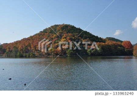 色づく宝ヶ池公園 色づく宝ヶ池公園 133963240