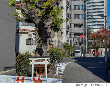 【大阪】玉造稲荷神社 【大阪】玉造稲荷神社 133963684
