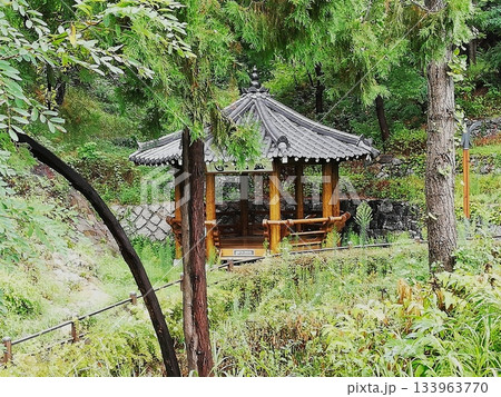 Wooden Gazebo in Forest Clearing 133963770