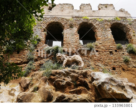 Ancient Stone Arches Ruins With a Lion 133963801