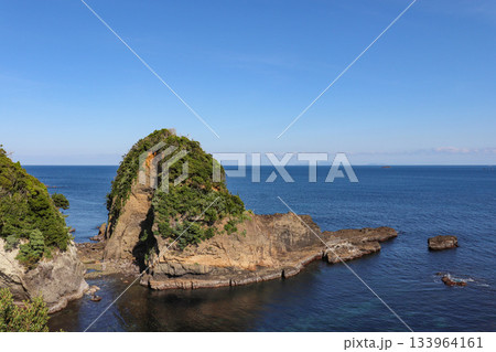 タライ岬からの眺望（静岡県下田市） 133964161