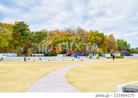 東京都世田谷区　馬事公苑　はらっぱ広場 133964175