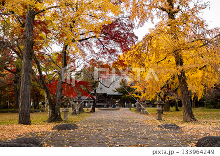 紅葉と黄葉に包まれる神社 紅葉と黄葉に包まれる神社 133964249