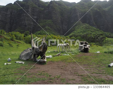 ハワイ・クアロアランチ　映画ロケ地として有名なカアアワ渓谷とコオラウ山脈の絶景 133964405