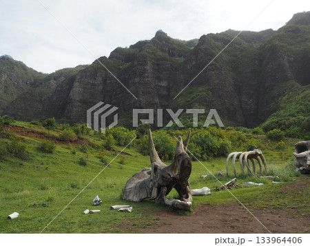 ハワイ・クアロアランチ　映画ロケ地として有名なカアアワ渓谷とコオラウ山脈の絶景 133964406