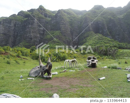 ハワイ・クアロアランチ 映画ロケ地として有名なカアアワ渓谷とコオラウ山脈の絶景 ハワイ・クアロアランチ 映画ロケ地として有名なカアアワ渓谷とコオラウ山脈の絶景 133964413