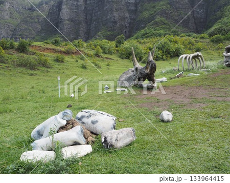ハワイ・クアロアランチ　映画ロケ地として有名なカアアワ渓谷とコオラウ山脈の絶景 133964415